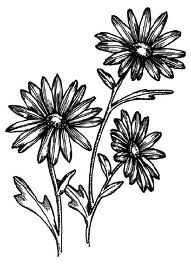 Obituary of LeAnette Joyce George