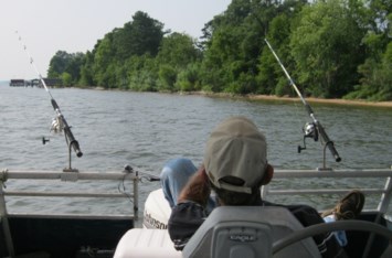 Obituary of David B Phillips Sr.