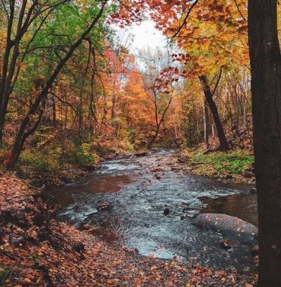 Obituary of John Daniel Vogt