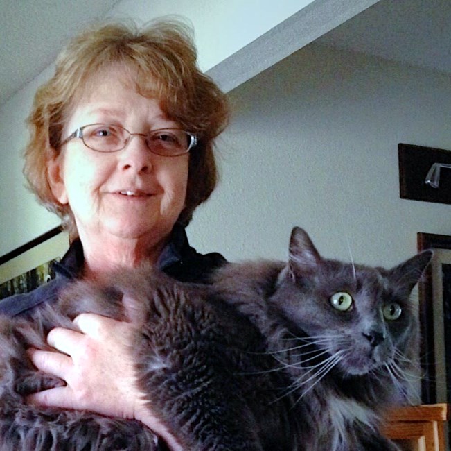 Obituary of Julie Ellen Sellers