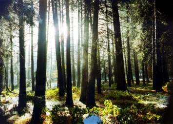 Obituary of Thomas F. Atteberry Jr.