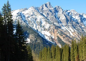 Obituary of Armando Sanchez Rivera