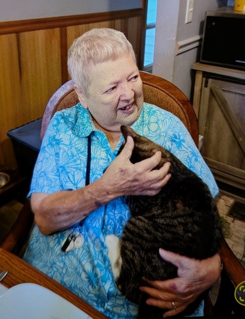 Avis de décès de Alona M. Cone Warner