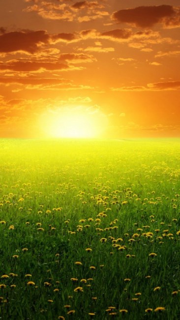 Avis de décès de Edna Belloste Schneider