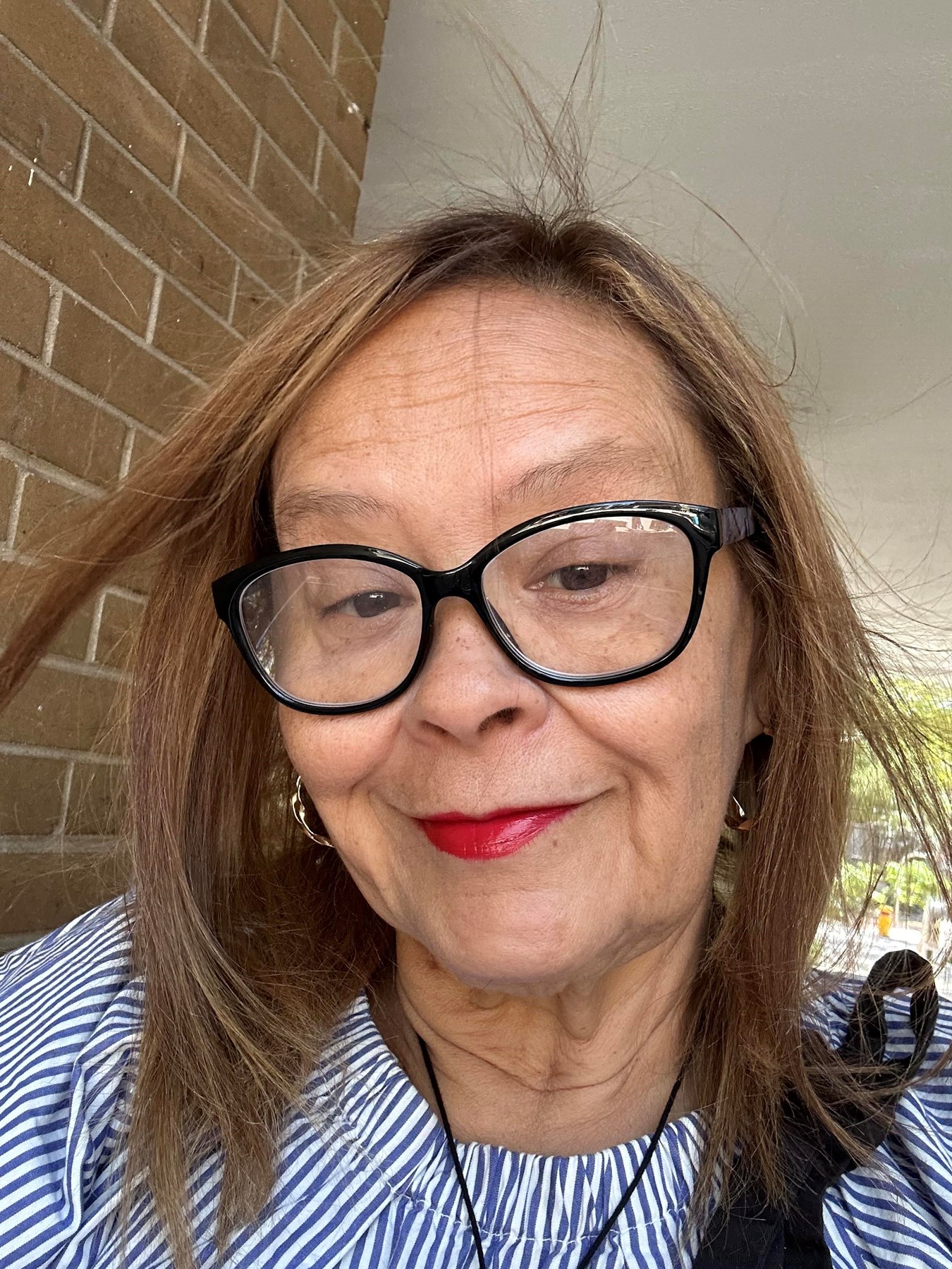 Obituary of Haydee Domenech