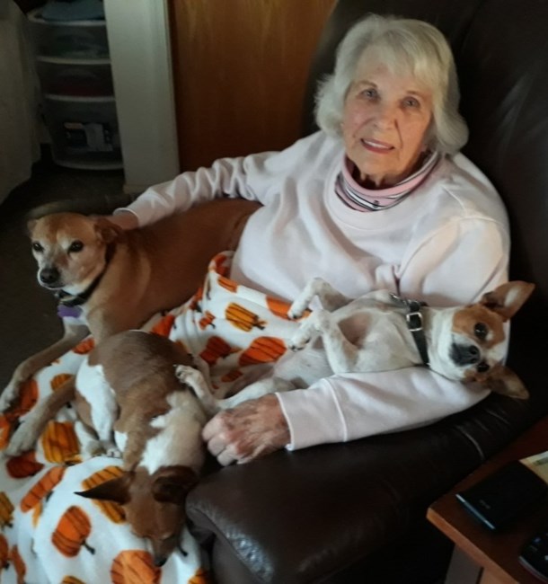 Obituary of Judith Gail Rohr