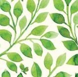 Obituary of Rolf Ingenleuf