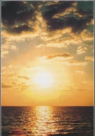 Obituary of Fred Joseph Mauer