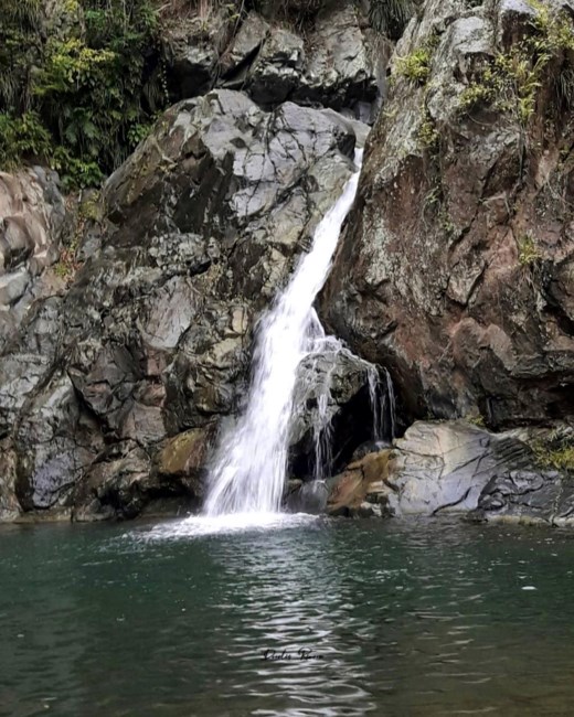 Avis de décès de Gladys Viana Díaz