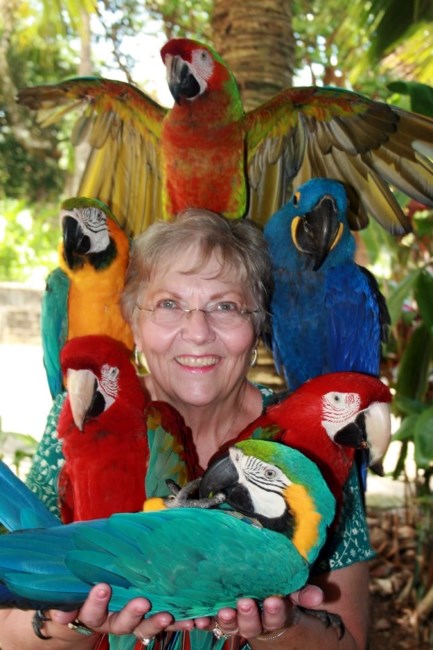 Obituary of Kathleen Thien