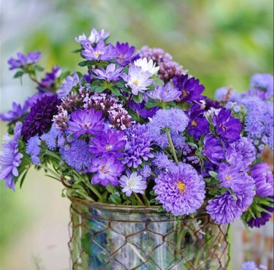 Obituary of Sandra Louise Farabaugh