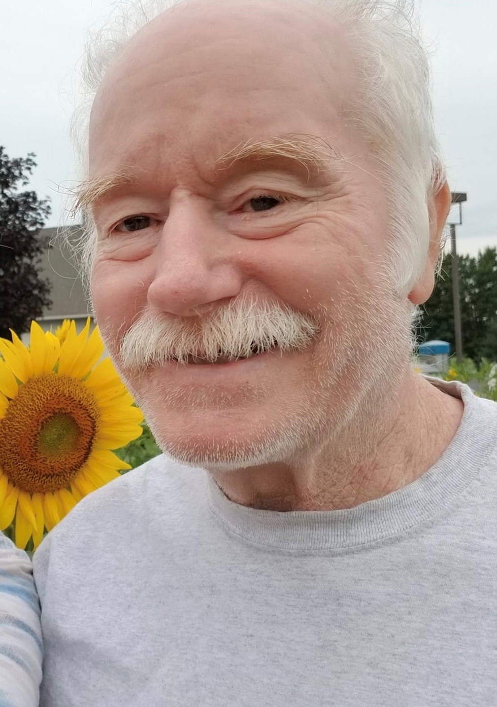David HARPER Obituary