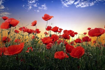 Obituary of Lawrence F Doctor