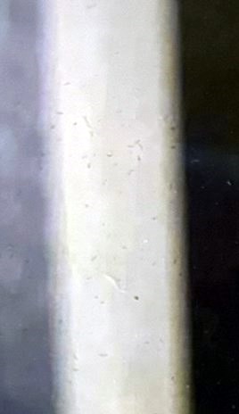 Harvey Worthington Obituary Rochester MI harvey-worthington-obituary-rochester-mi