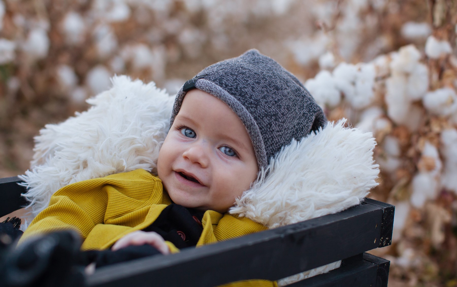 Obituary of Finley Kash Levenbaum