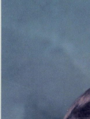 News Herald Obituaries Past 3 Days Willoughby