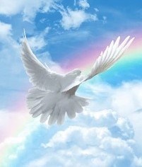 Obituary of Amos L. Girod