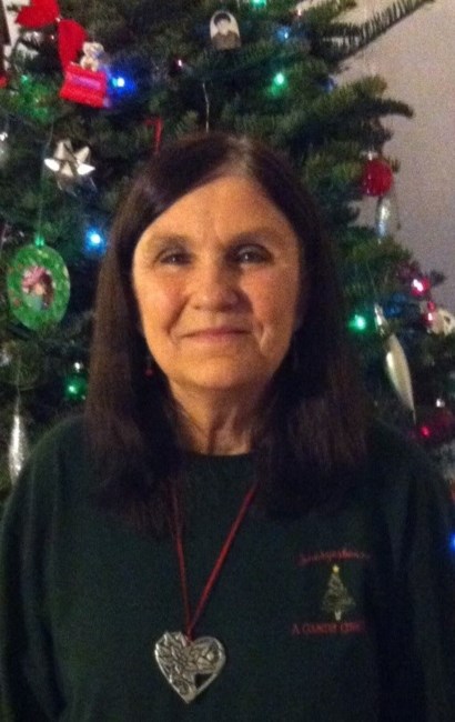 Obituary of Judy Carol Worley