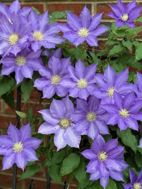 Obituary of Ruth E Fant