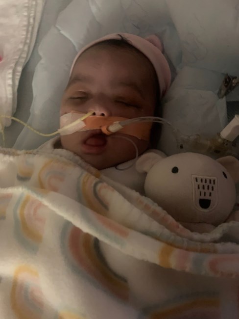 Obituario de Jaylee Hope Nichelle Hill