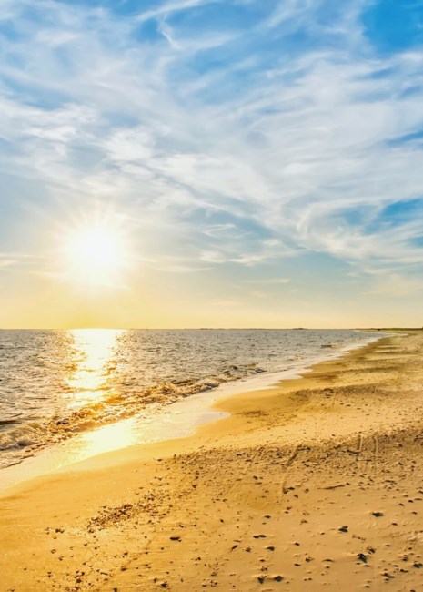 Avis de décès de Mary Lois Wilson