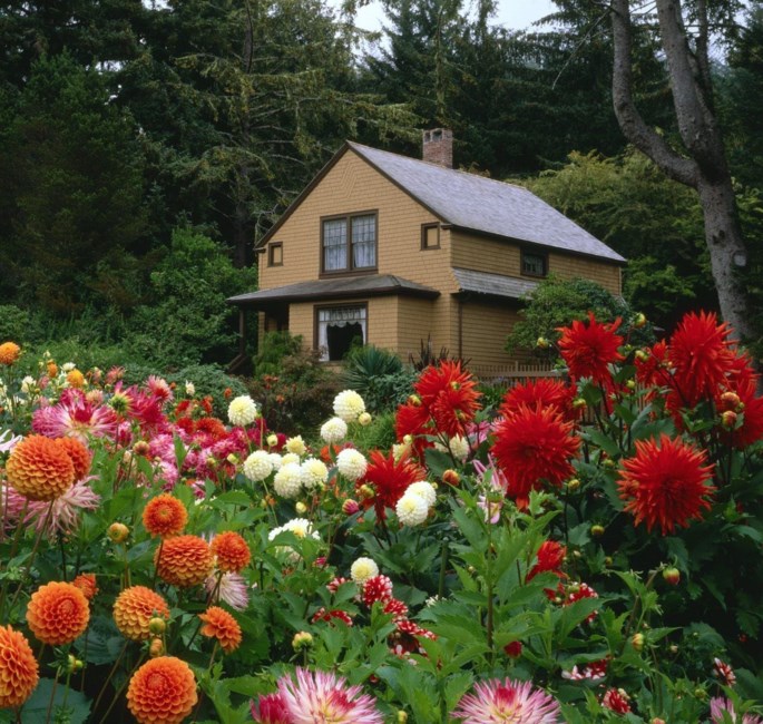 Obituary of Sue Ellen Howard