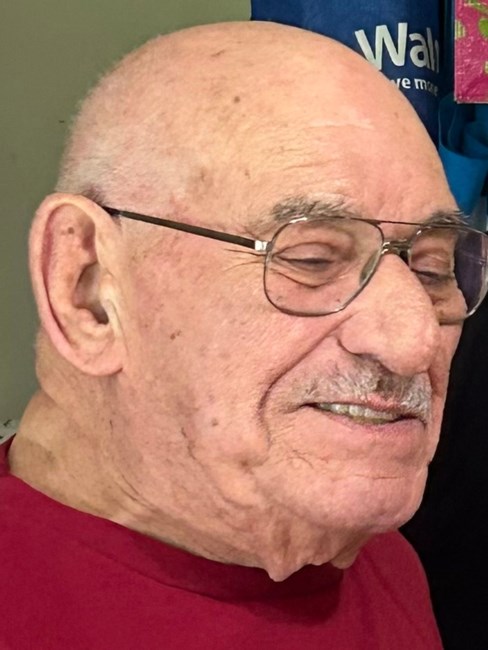 Obituary of Louis C Digiovanni Sr.