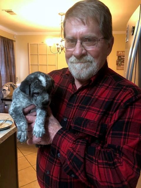 Obituary of Lee Noel Hutchens