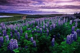 Obituary of Bobbie Cowart Chapman