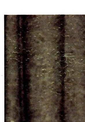 David Romer Obituary - Hamilton, OH