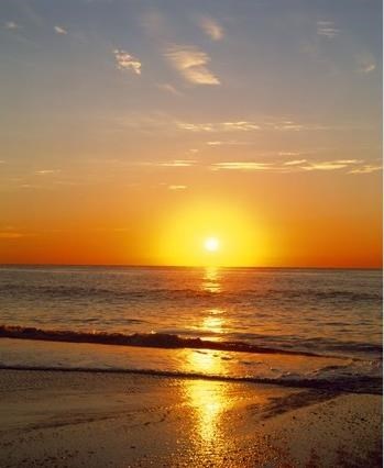 Obituary of Elaine Fuller.