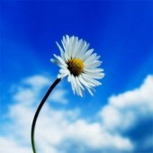 Obituary of Miriam Rachel Hirsch