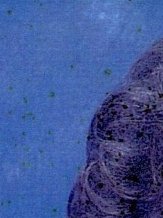 Mona Ruff Obituary - Lancaster, OH