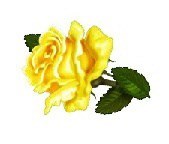 Obituary of Robert Wolfer