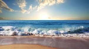 Obituary of Robert Christian Freitas