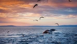 Obituary of Joan Johnson