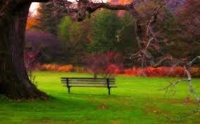 Obituary of Patricia M. McKay