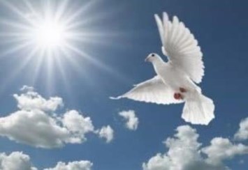 Obituary of Kevin Andres Fraguada Rosa