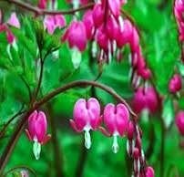 Obituary of Sandra Ann Martin