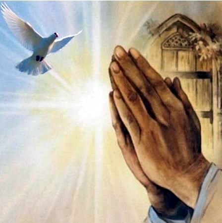 Obituary of Michael C. Pachowicz