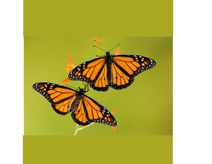 Obituary of James Joseph Tate