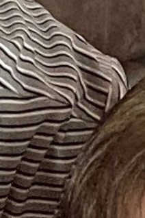 Michele Ledford Obituary - Columbus, GA