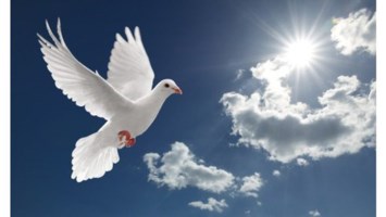 Obituary of Louisette Danis