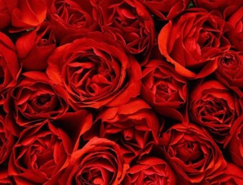 Obituary of William Louis Morse