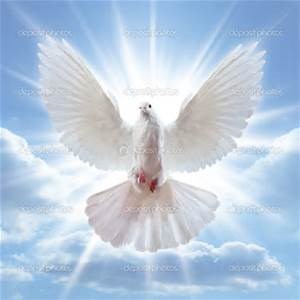 Obituary of Chris Damian Gutierrez