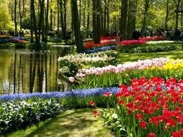 Obituary of Linda S Maher