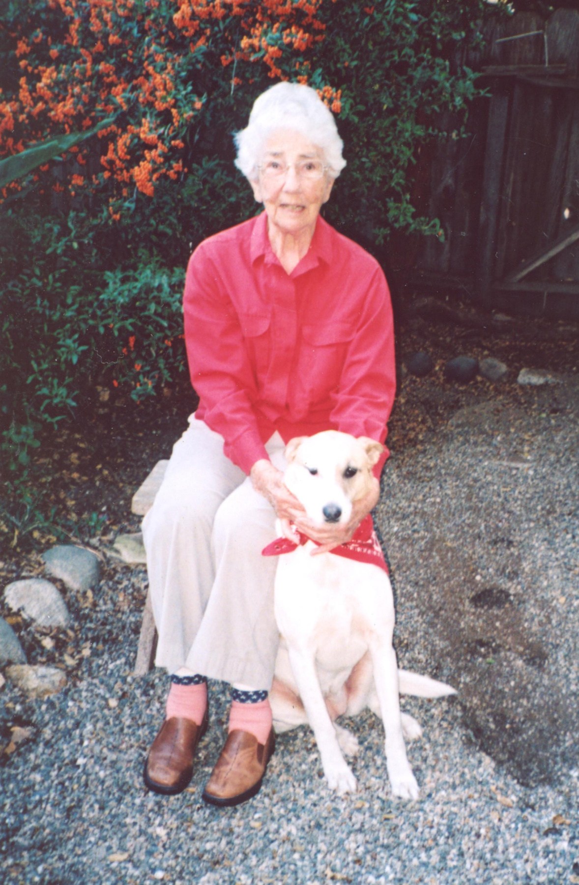 Obituary of Louise Phillips