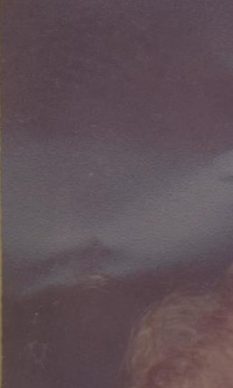 Winnie Nell Durrett Obituary Tuscaloosa, AL