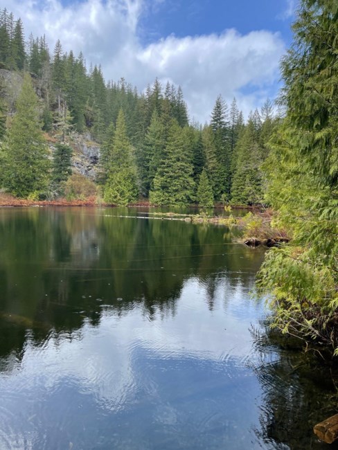 Obituary of Ronald Frederick Flatman