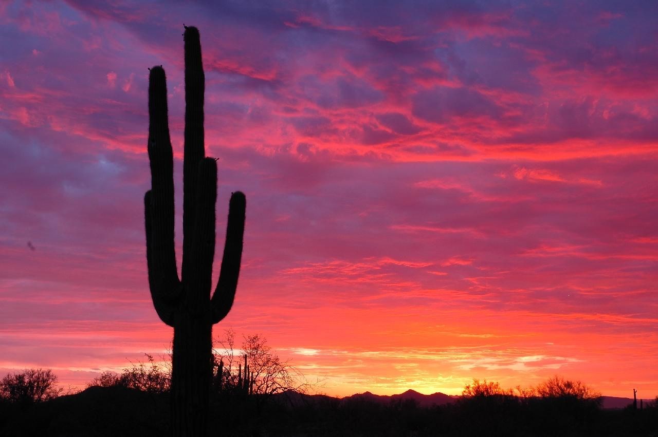 James Edward Nelson Obituary Phoenix, AZ
